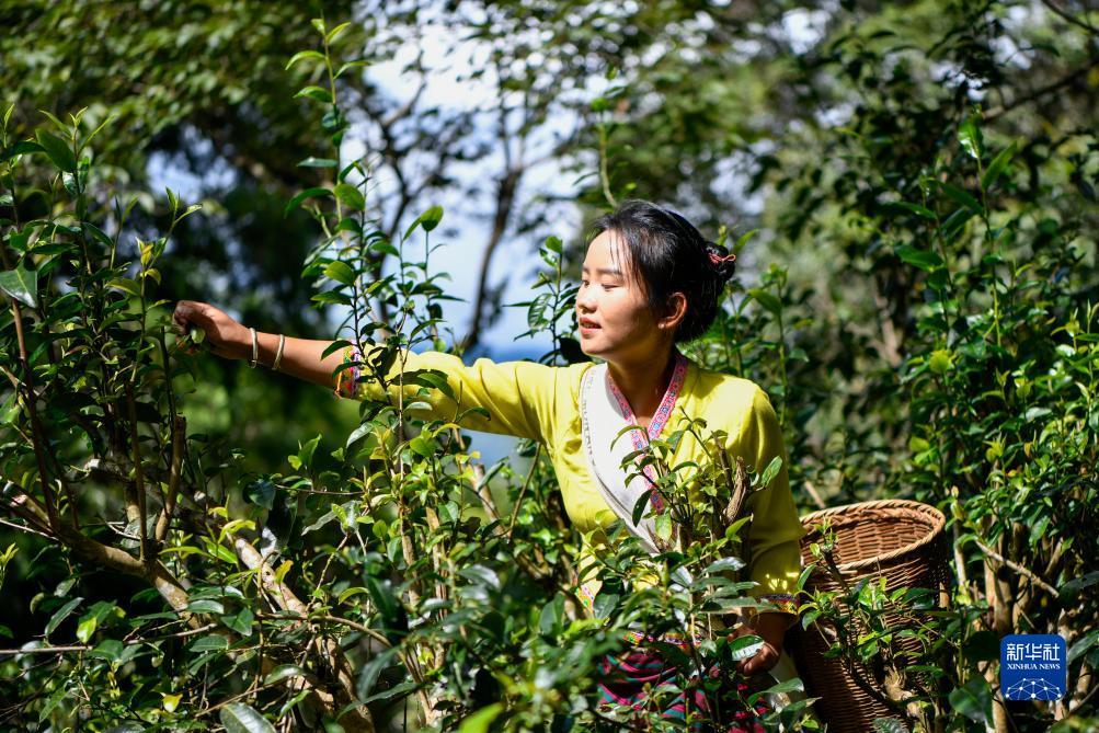 捕鱼游戏下载